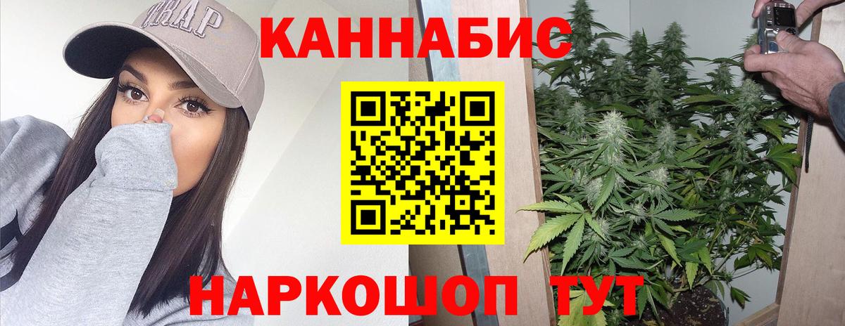 Конопля Ganja  Марихуана Bruce Banner  Конопля план  Бошки марихуана тримм  Шебекино  Вход с VPN 